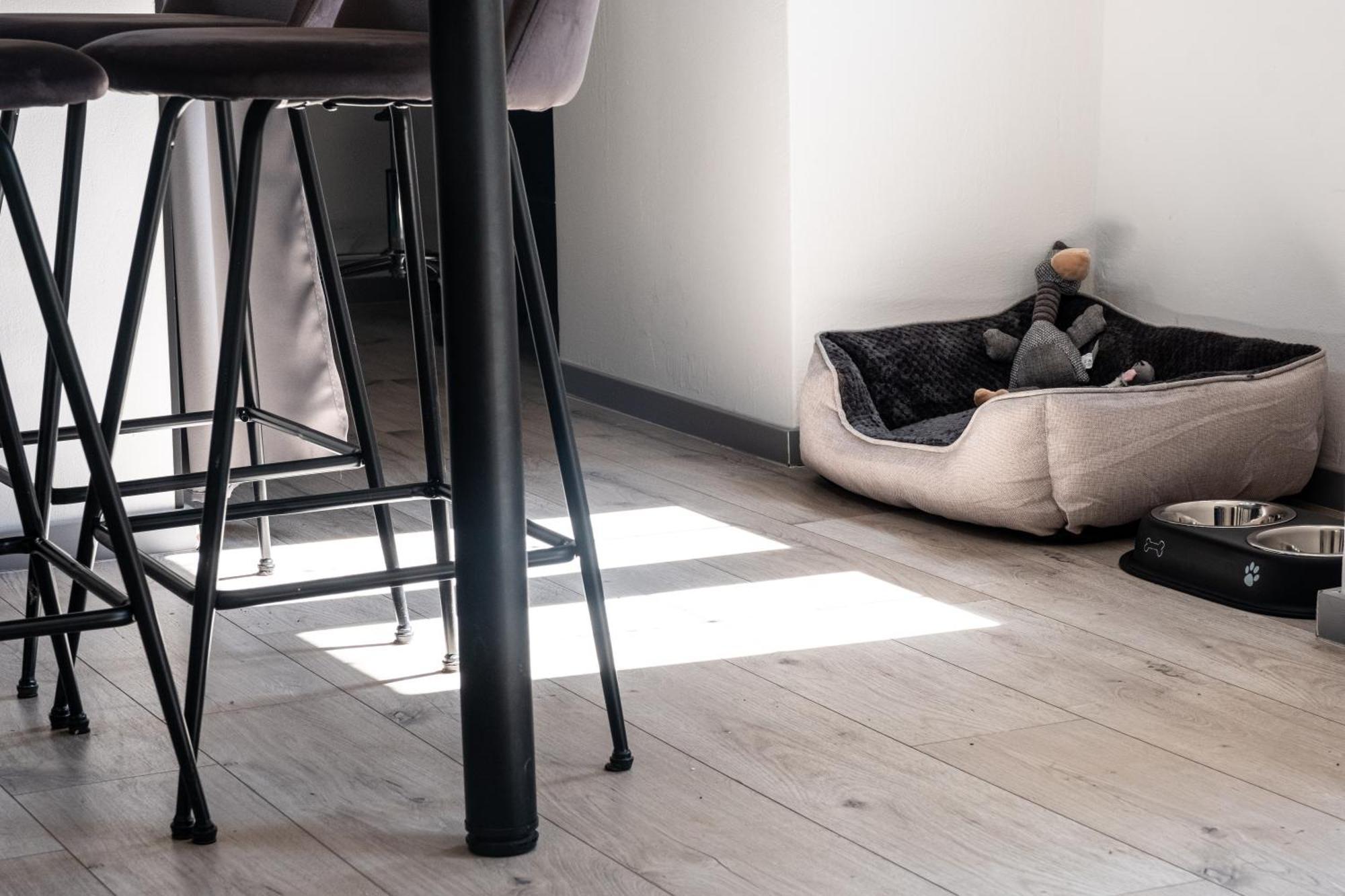 Appartement Il Camino à Opatija Extérieur photo